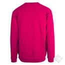 You collegegenser, raspberry