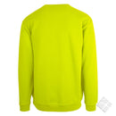 You collegegenser, safety gul