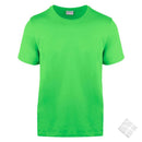 GOTS organic T-skjorte, lime