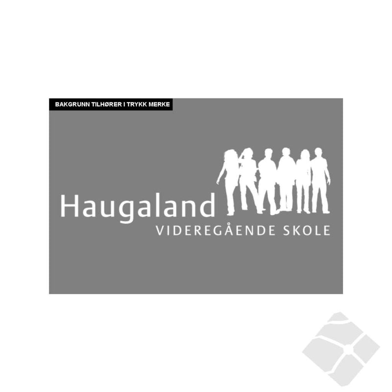 Haugaland VGS, bryst logo