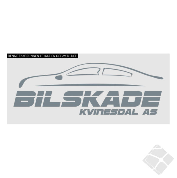 Bilskade Kvinesdal, rygg logo