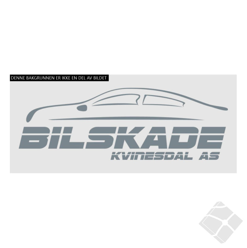 Bilskade Kvinesdal, rygg logo